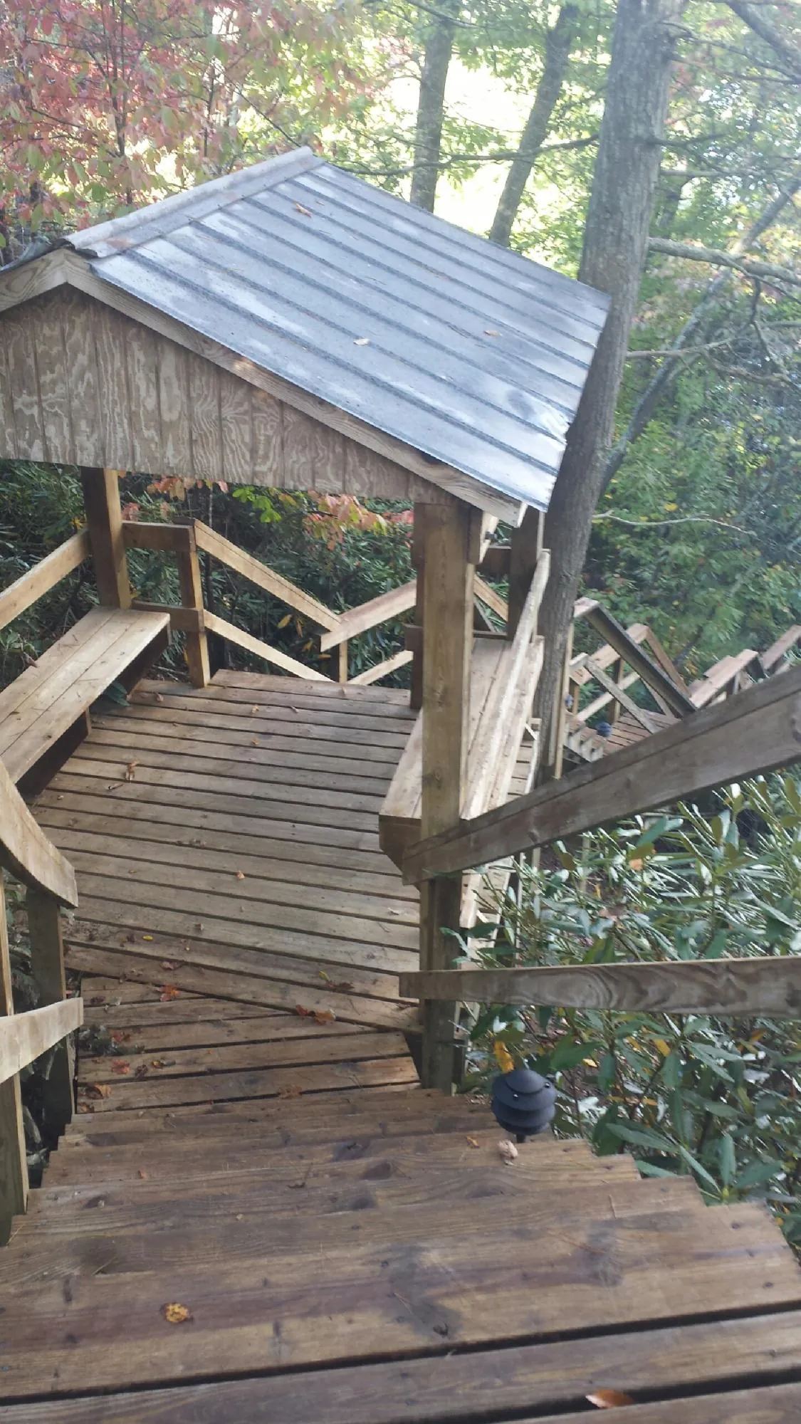 Metal roofed shelter over wooden steps on a wooded walkway — Skylight Repair & Installation work by our crew in Pineville