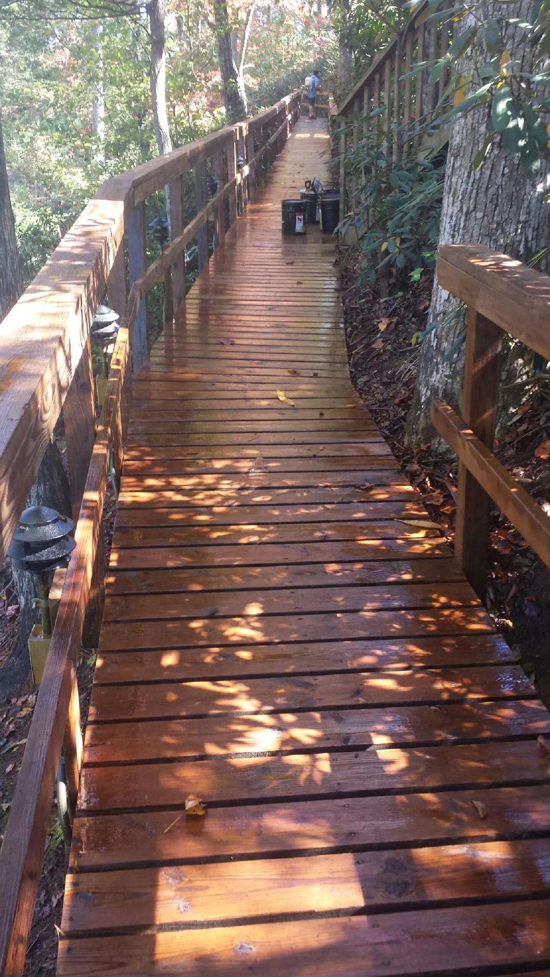 Freshly stained wood walkway winding through the woods in Pineville