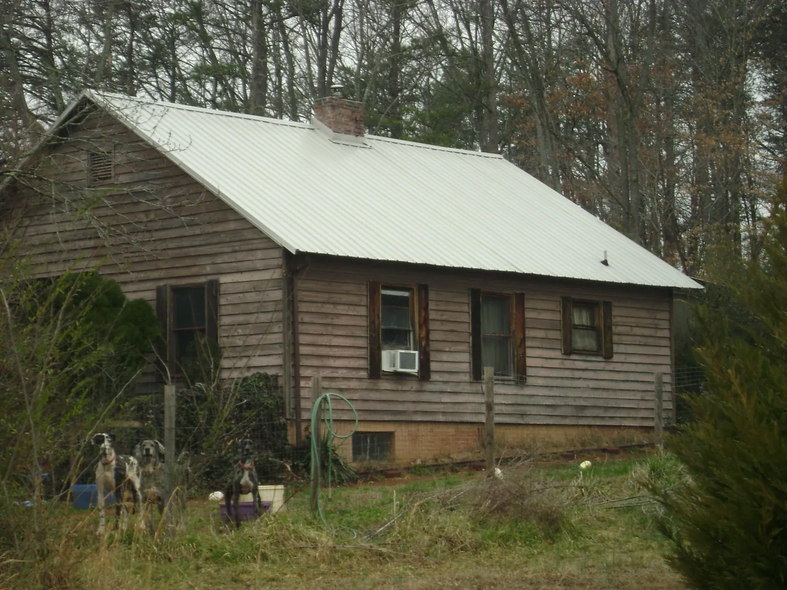 White metal roof on an old wood sided farmhouse, from a Asphalt Shingle Roof Repair job in Pineville